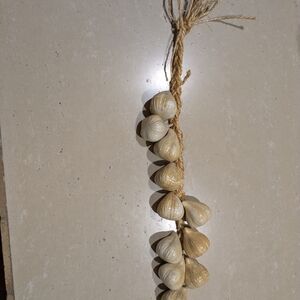 Decorative Hanging Garlic Braid